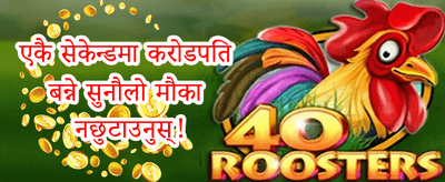 हट स्लटहरूमा फ्री स्पिन्स promotion
